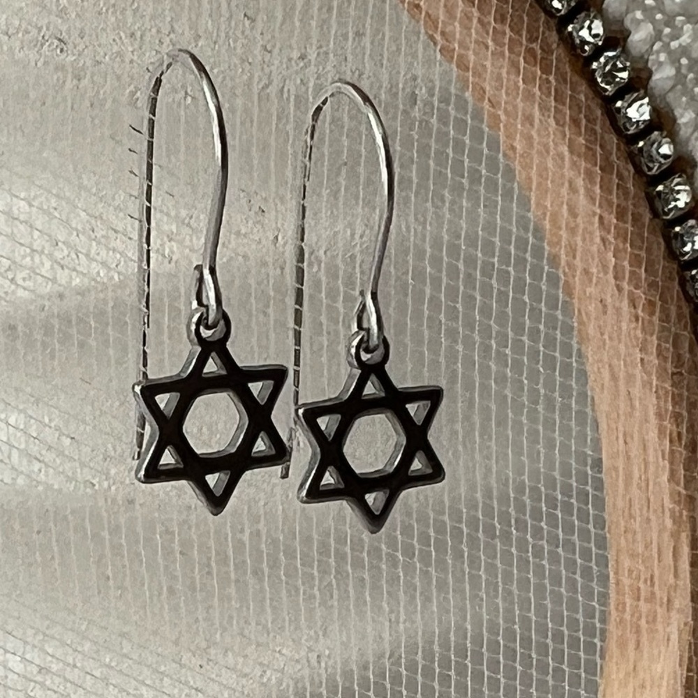 Star Of David Petite Stainless Steel Earrings